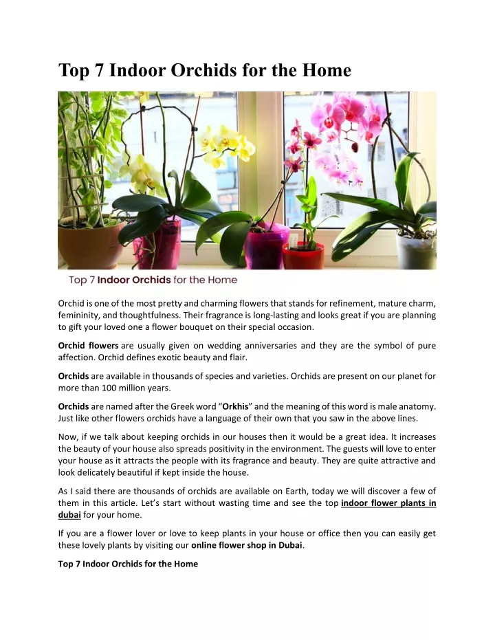 top 7 indoor orchids for the home
