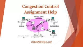 Congestion control assignment help globalwebtutors