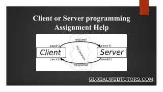 Client or server programming assignment help globalwebtutors