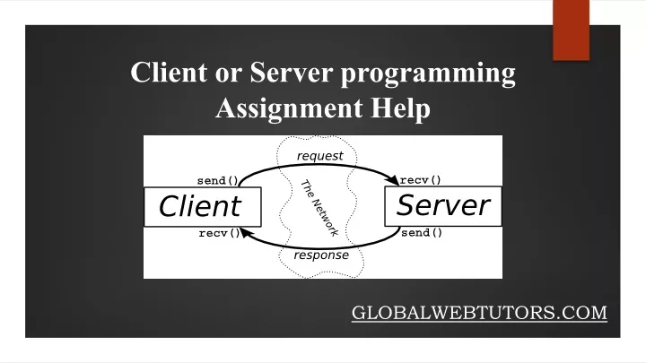 client or server programming assignment help