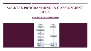 Sockets programming in c assignment help globalwebtutors
