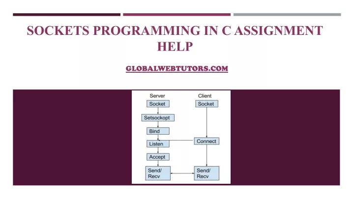 sockets programming in c assignment help