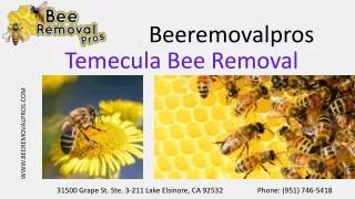 Temecula Bee Removal Specialist | Beeremovalpros