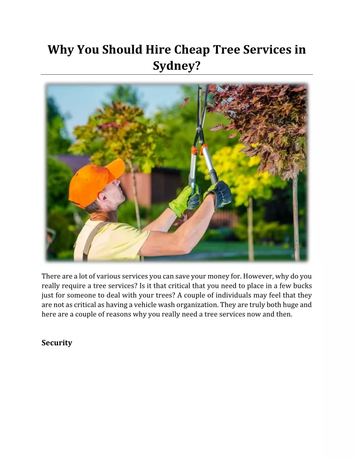 why you should hire cheap tree services in sydney