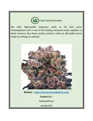 we offer high quality marijuana seeds at the best