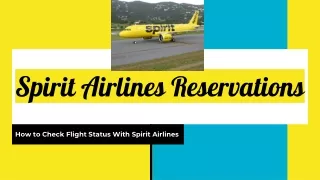 How to check your flight status with Spirit Airlines Reservations