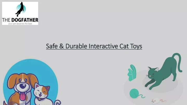 safe durable interactive cat toys