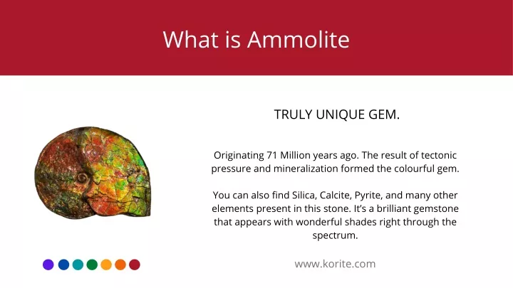 what is ammolite