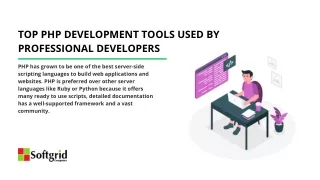 top php development tools used by professional