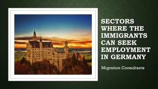 Sectors where the immigrants can seek employment in Germany