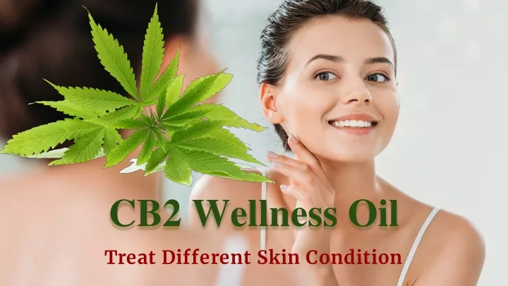 cb2 wellness oil