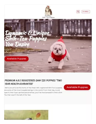 Purebred Shih-Tzu & Yorkie Puppies for Sale - Dynamic Shih Tzu Puppies