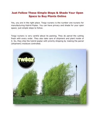 Just Follow These Simple Steps & Shade Your Open Space to Buy Plants Online