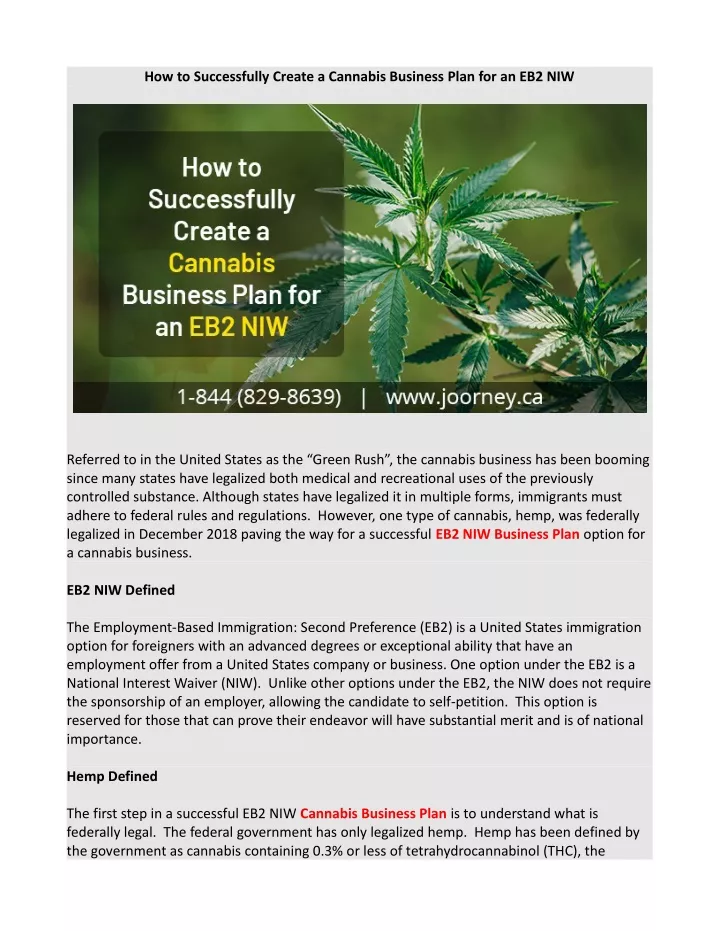 how to successfully create a cannabis business