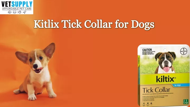 kitlix tick collar for dogs