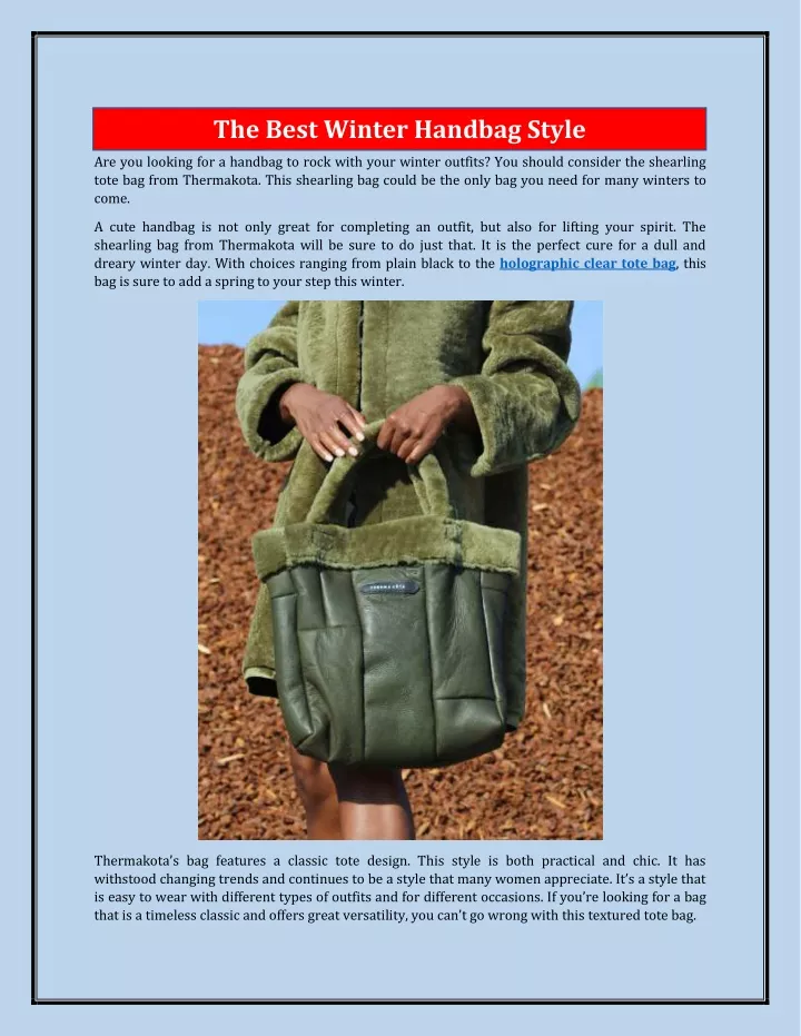 the best winter handbag style