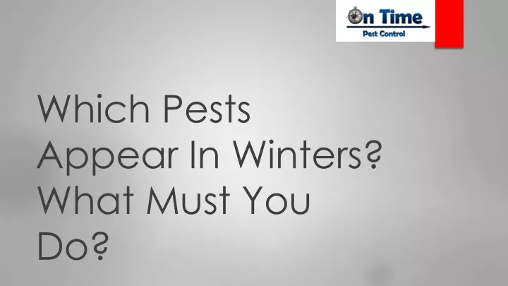 which pests appear in winters what must you do