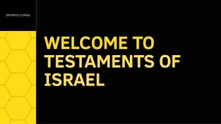 Testaments Of Israel 