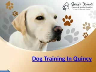 Best Dog Training In Quincy- Brian's Kennels