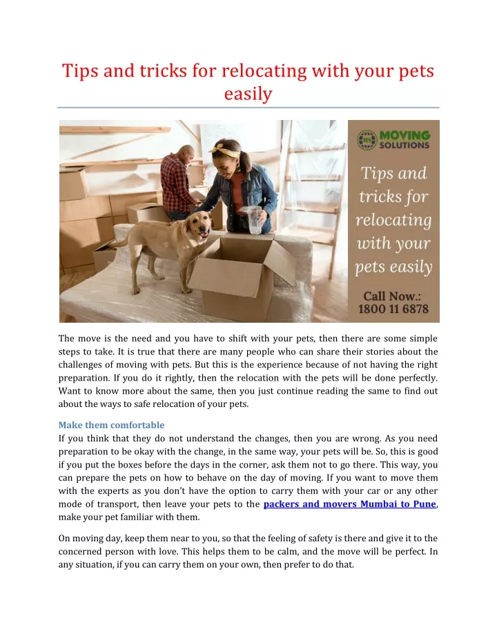 tips and tricks for relocating with your pets