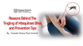 Reasons Behind The Tingling of Mosquitoes Bites and Prevention Tips