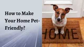 How to  make home Pet  friendly