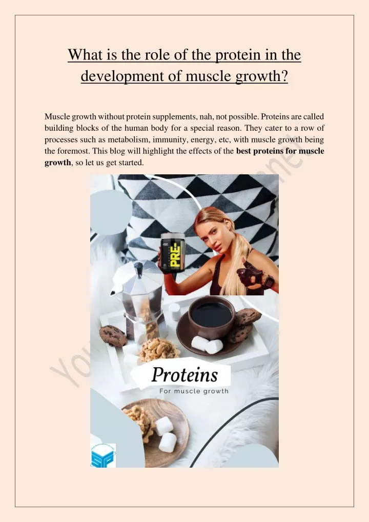 what is the role of the protein