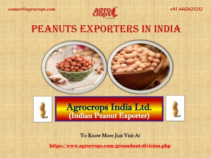 peanuts exporters in india