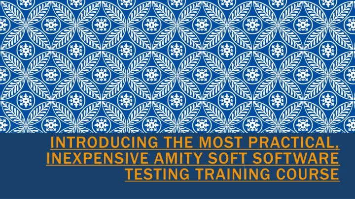 introducing the most practical inexpensive amity soft software testing training course