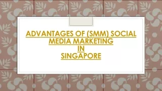 advantages of smm social media marketing in singapore