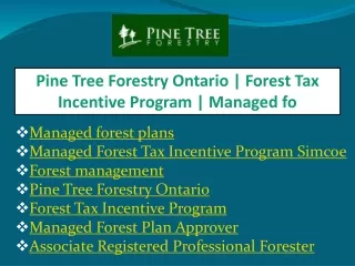 pine tree forestry ontario forest tax incentive