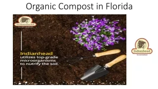 Organic Compost in Florida - indianhead