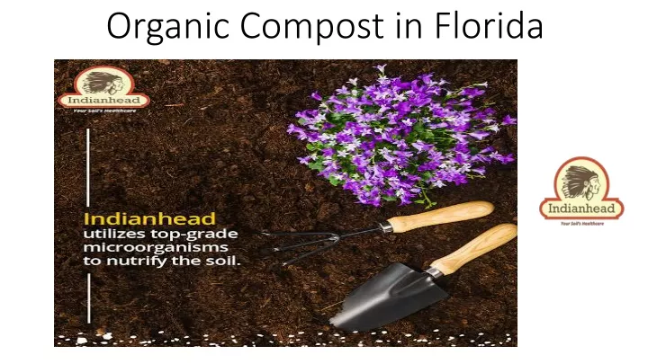 organic compost in florida