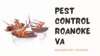 Pest Control Roanoke VA