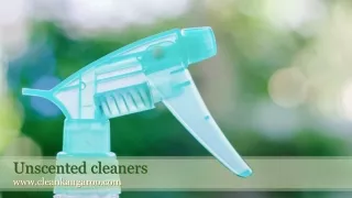 Unscented cleaners-www.cleankangaroo.com