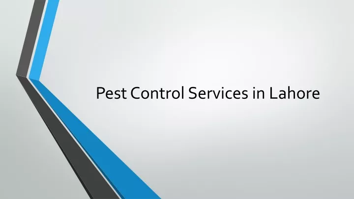 pest control services in lahore