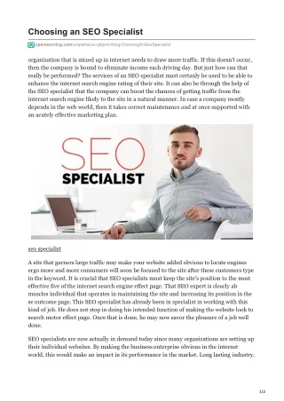 choosing an seo specialist