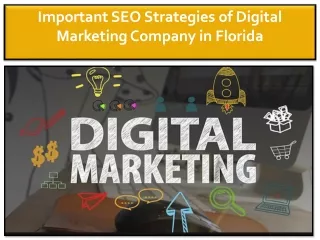 Digital Marketing Company in Florida