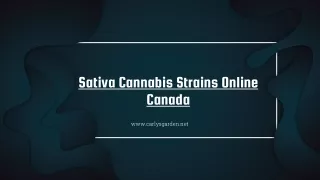 Buy Sativa Cannabis Strains Online Canada - Carly's Garden
