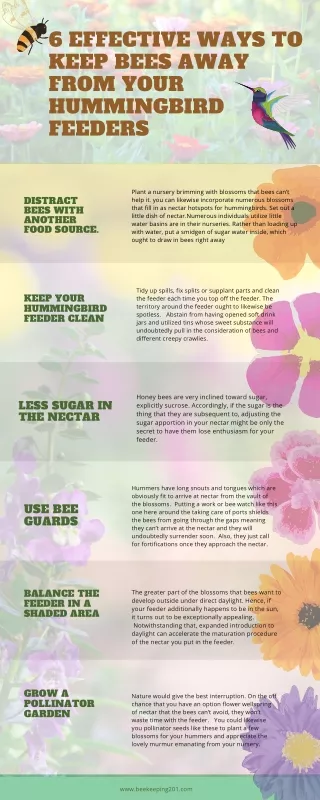 9 Effective Ways to keep bees away from your hummingbird feeders