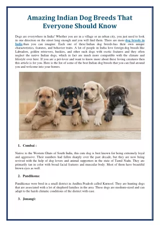 amazing indian dog breeds that everyone should
