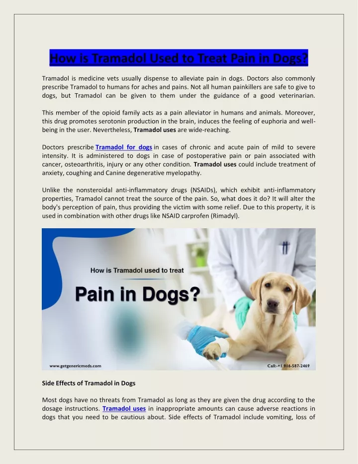 how is tramadol used to treat pain in dogs