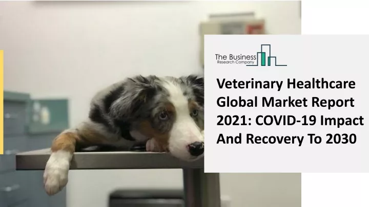 veterinary healthcare global market report 2021