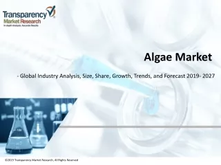 algae market