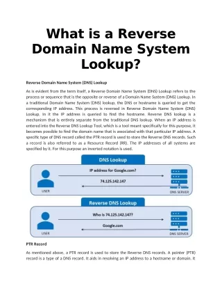 what is a reverse domain name system lookup