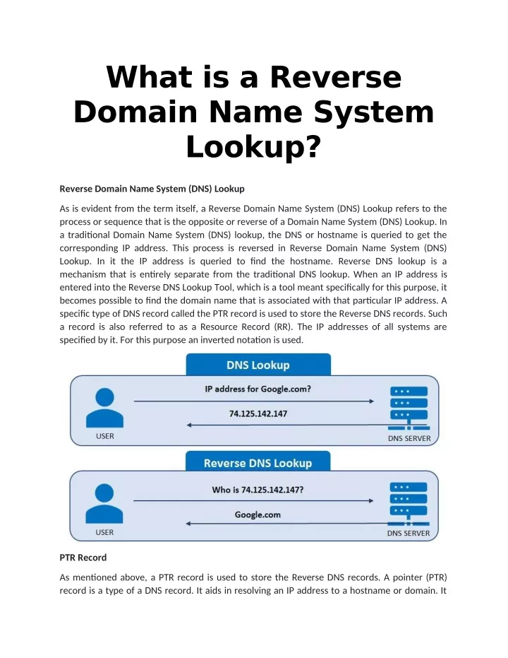what is a reverse domain name system lookup