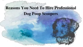 Reasons You Need To Hire Professional Dog Poop Scoopers