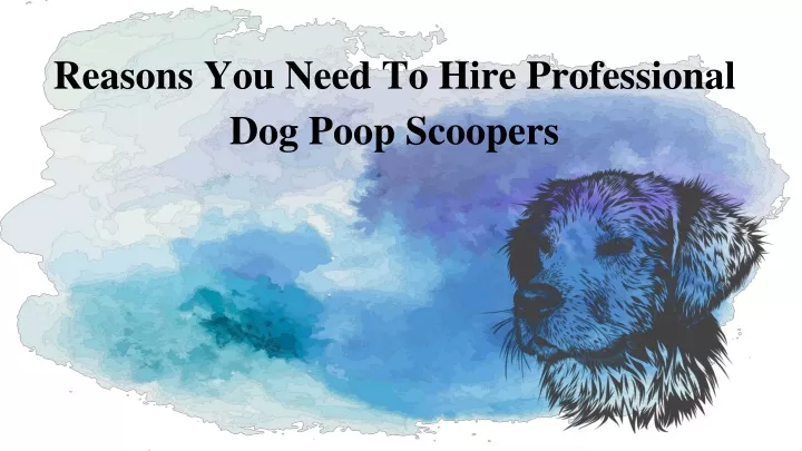 reasons you need to hire professional dog poop scoopers