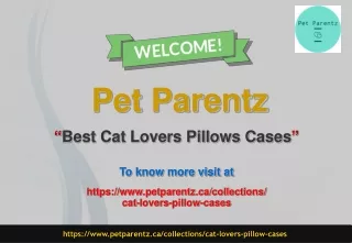 Best Cat Lovers Pillows Cases