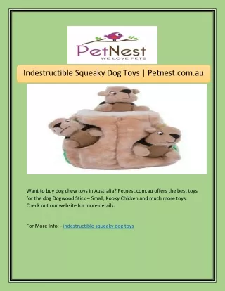 indestructible squeaky dog toys petnest com au